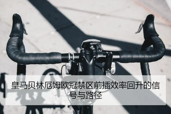 huang-ma-bei-lin-e-mu-ou-guan-jin-qu-qian-cha-xiao-lv-hui-sheng-de-xin-hao-yu-lu-jing-2-298.jpg